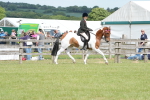 SBM_17605