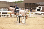 SBM_008254