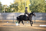 SBM_18316