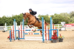 SBM_007353