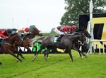160626-Race 4-Mr King-6