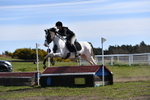 WJ5_6867