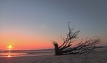 Tentsmuir sunrise