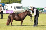 SBM_01906