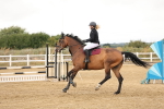 SBM_023371