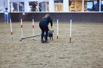 SBM_006002