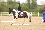 SBM_006836