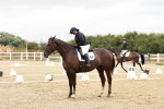 SBM_002962