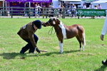SBM_03583