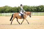 SBM_000274
