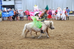 SBM_007968