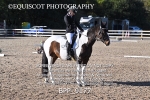 BPP_9177