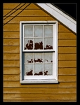 Peeling Window