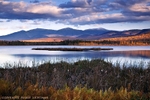 White Mountain Refuge