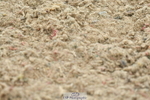 230611A-104131-04974