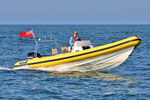 180707 YELLOW SCORPION RIB 2F7A3013