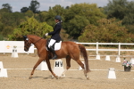 SBM_021910