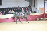 SBM_07230