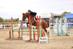 SBM_000267