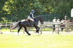 SBM_17378