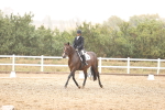 SBM_004699