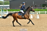 Cls 25 Pony Foxhunter & 1.10m Open portfolio