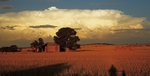 Ruin & Cloud