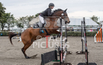 North Showjumping_2016-77