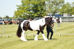 SBM_04107