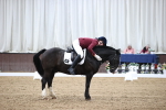 SBM_01409