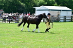 SBM_03902