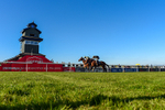 230426-Race 8-Barbury Boy-1352