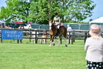 SBM_03833