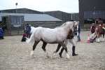 SBM_007283