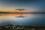 Another Lonely Boat