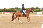 SBM_005935