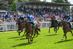 310526-Race 2-Dazzling Haze-8409