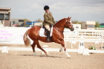 SBM_05861