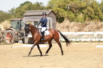 SBM_002990