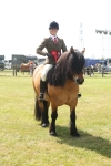 SBM_07734