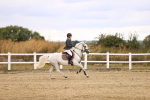 SBM_007535