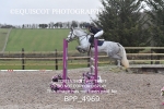 BPP_4969