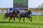 080426-Race 8-Keldeo-1463