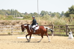 SBM_002832