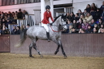 SBM_007184