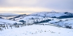 Shutlingsloe under snow (6)