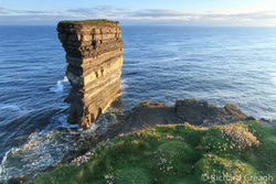 Ireland portfolio