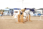 SBM_06771