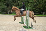NSEA GR 70cm portfolio