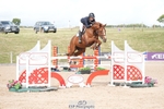 Cls 30 Redpost Equestrian Senior Foxhunter portfolio